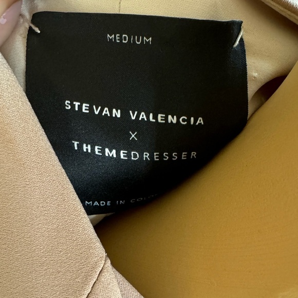 Stevan Valencia x Themedresser
MONA DRESS - Picture 4 of 4